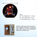 Fantasy Dragon Resin Lamp, Handmade Galaxy Diorama Night Light